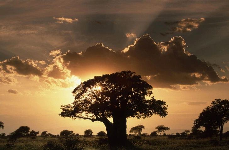 Камчатка дороже Мальдив: какие регионы России стали премиальным туризмом