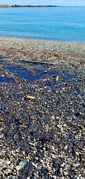 Мазутный прибой: как в Туапсе справляются с необъявленной экологической катастрофой