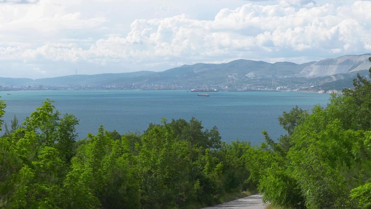 Пляжи Краснодарского края откроются полностью: чего ждать туристам летом 2026 года