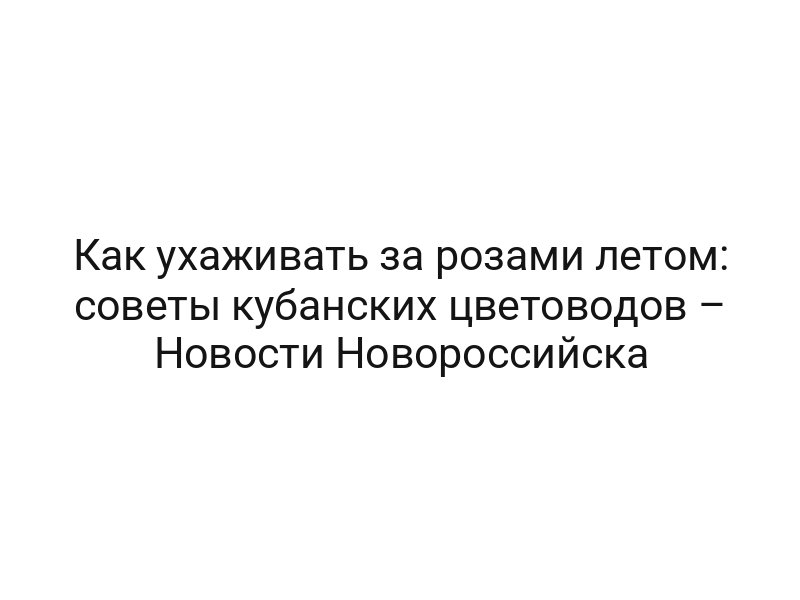 Как ухаживать за розами летом: советы кубанских цветоводов – Новости Новороссийска