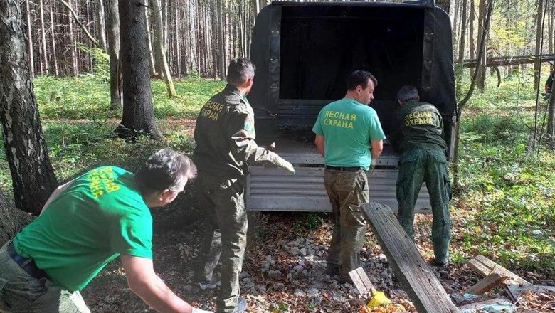 В Московской области проведут экологическую акцию «Чистый лес»